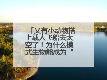 又有小动物搭上载人飞船去太空了！为什么模式生物能成为“探索代表”？