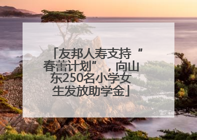 友邦人寿支持“春蕾计划”，向山东250名小学女生发放助学金