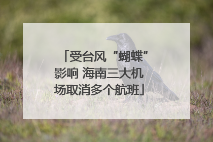 受台风“蝴蝶”影响 海南三大机场取消多个航班