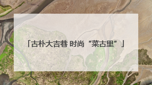 古朴大吉巷 时尚“菜古里”