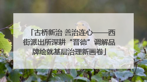 古桥新治 善治连心——西街派出所深耕“晋德”调解品牌绘就基层治理新画卷