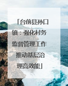 台前县孙口镇：强化村务监督管理工作 推动基层治理高效能