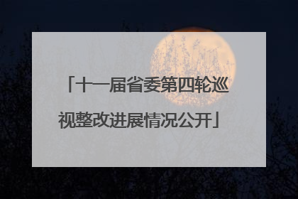 十一届省委第四轮巡视整改进展情况公开