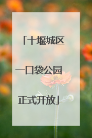 十堰城区一口袋公园正式开放