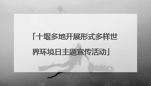 十堰多地开展形式多样世界环境日主题宣传活动