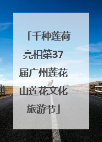 千种莲荷亮相第37届广州莲花山莲花文化旅游节