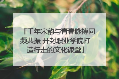 千年宋韵与青春脉搏同频共振 开封职业学院打造行走的文化课堂