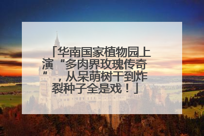 华南国家植物园上演“多肉界玫瑰传奇”，从呆萌树干到炸裂种子全是戏！