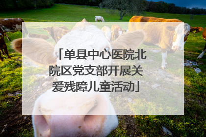 单县中心医院北院区党支部开展关爱残障儿童活动