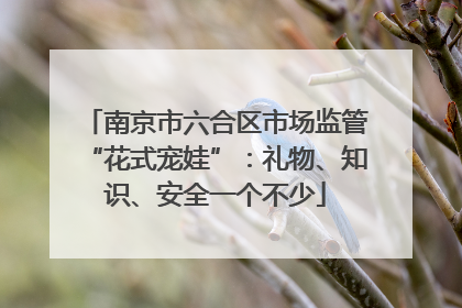 南京市六合区市场监管“花式宠娃”：礼物、知识、安全一个不少