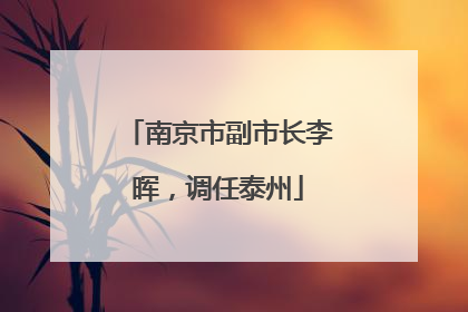 南京市副市长李晖，调任泰州