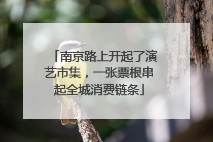 南京路上开起了演艺市集，一张票根串起全城消费链条
