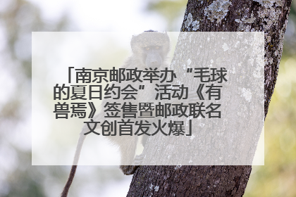 南京邮政举办“毛球的夏日约会”活动《有兽焉》签售暨邮政联名文创首发火爆