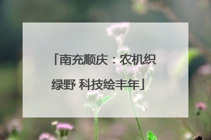南充顺庆：农机织绿野 科技绘丰年