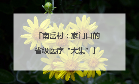 南岳村：家门口的省级医疗“大集”