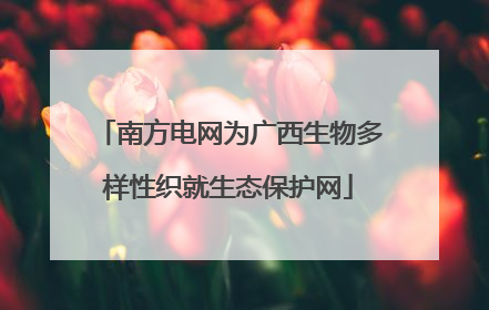 南方电网为广西生物多样性织就生态保护网