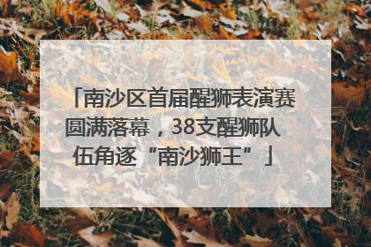 南沙区首届醒狮表演赛圆满落幕，38支醒狮队伍角逐“南沙狮王”