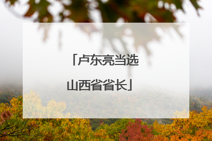 卢东亮当选山西省省长