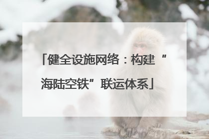 健全设施网络：构建“海陆空铁”联运体系