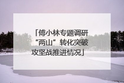傅小林专题调研“两山”转化突破攻坚战推进情况