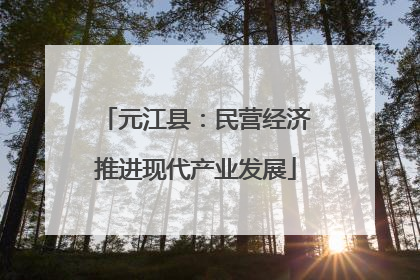 元江县：民营经济推进现代产业发展