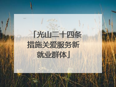 光山二十四条措施关爱服务新就业群体