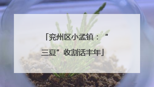 兖州区小孟镇：“三夏”收割话丰年