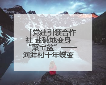 党建引领合作社 盐碱地变身“聚宝盆”——河涯村十年蝶变实现产业兴村群众富