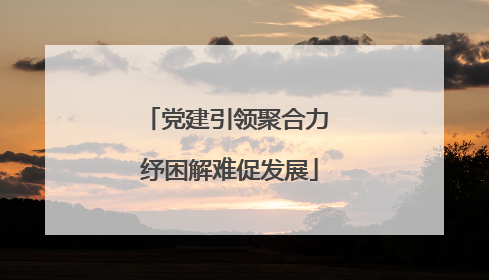 党建引领聚合力 纾困解难促发展