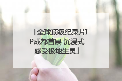 全球顶级纪录片IP成都首展 沉浸式感受极地生灵