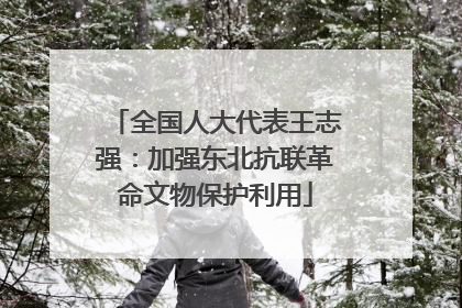 全国人大代表王志强：加强东北抗联革命文物保护利用