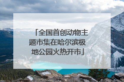 全国首创动物主题市集在哈尔滨极地公园火热开市