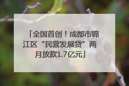 全国首创！成都市锦江区“民营发展贷”两月放款1.7亿元