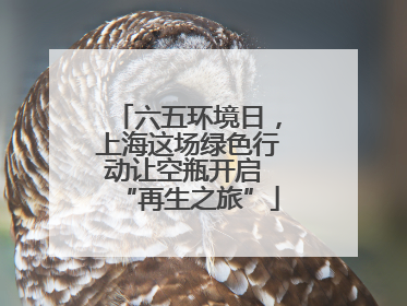 六五环境日，上海这场绿色行动让空瓶开启 “再生之旅”