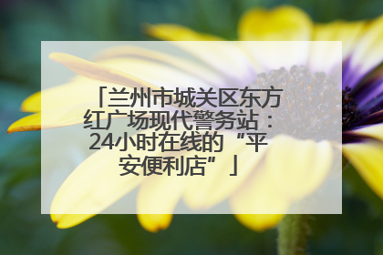 兰州市城关区东方红广场现代警务站：24小时在线的“平安便利店”