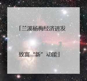 兰溪杨梅经济迸发致富“新”动能