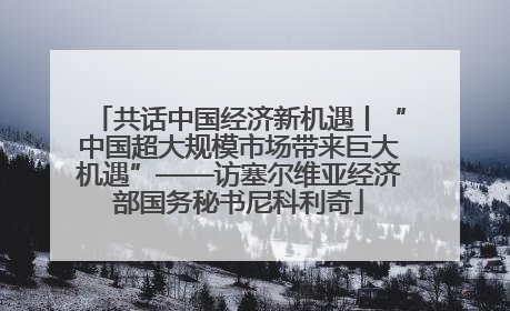 共话中国经济新机遇丨“中国超大规模市场带来巨大机遇”——访塞尔维亚经济部国务秘书尼科利奇