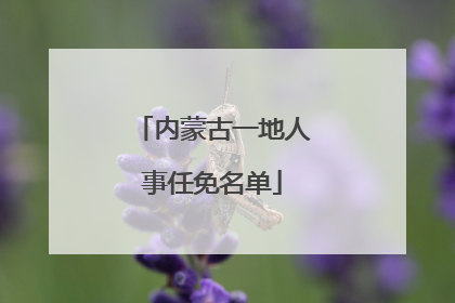 内蒙古一地人事任免名单