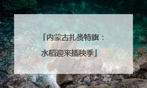 内蒙古扎赉特旗：水稻迎来插秧季