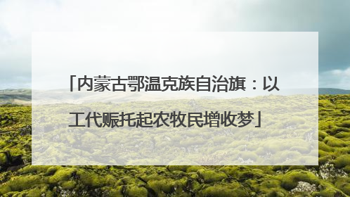 内蒙古鄂温克族自治旗：以工代赈托起农牧民增收梦