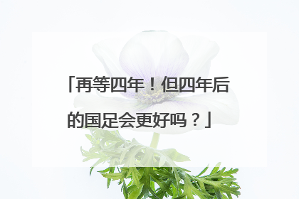 再等四年！但四年后的国足会更好吗？