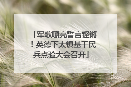 军歌嘹亮誓言铿锵！英德下太镇基干民兵点验大会召开