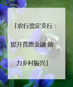 农行贵定支行：提升普惠金融 助力乡村振兴