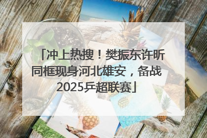 冲上热搜！樊振东许昕同框现身河北雄安，备战2025乒超联赛