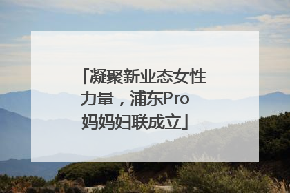 凝聚新业态女性力量，浦东Pro妈妈妇联成立