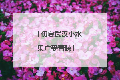 初夏武汉小水果广受青睐