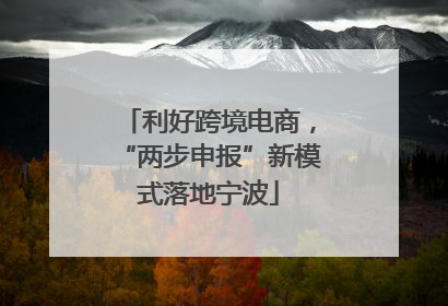 利好跨境电商，“两步申报”新模式落地宁波