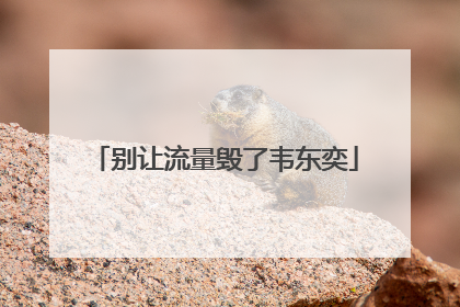 别让流量毁了韦东奕