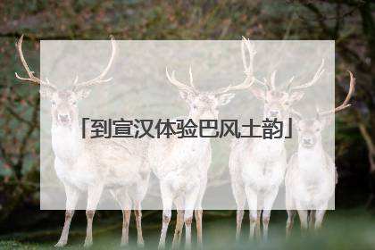 到宣汉体验巴风土韵