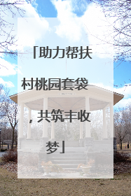 助力帮扶村桃园套袋，共筑丰收梦